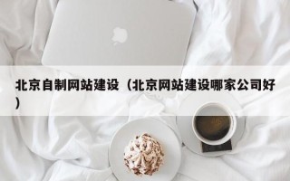 渭南北京自制网站建设（北京网站建设哪家公司好）
