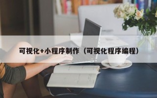 渭南可视化+小程序制作（可视化程序编程）